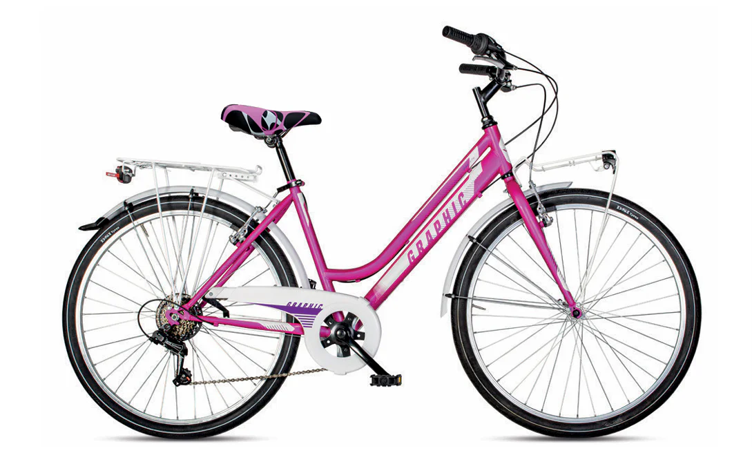 Velomarche GRAPHIC LADY 26" 6V City Bike - immagine 3