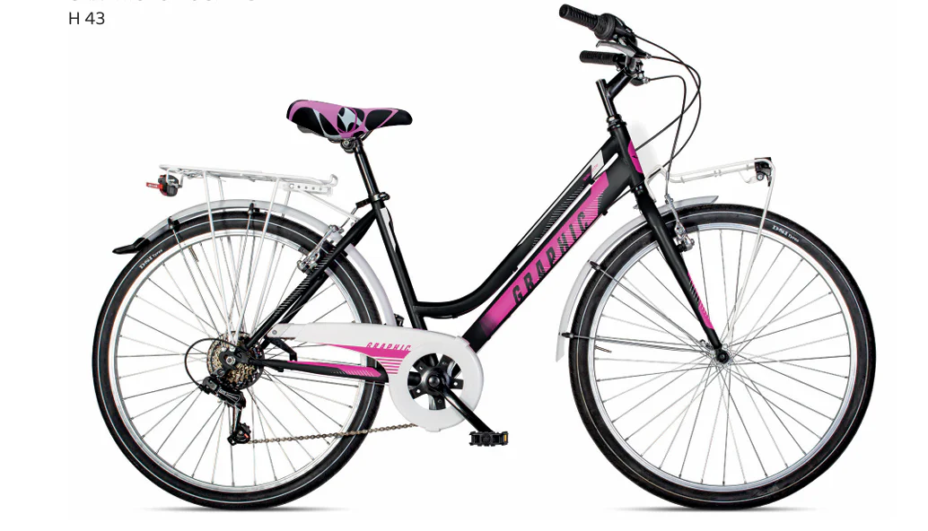 Velomarche GRAPHIC LADY 26" 6V City Bike - immagine 2