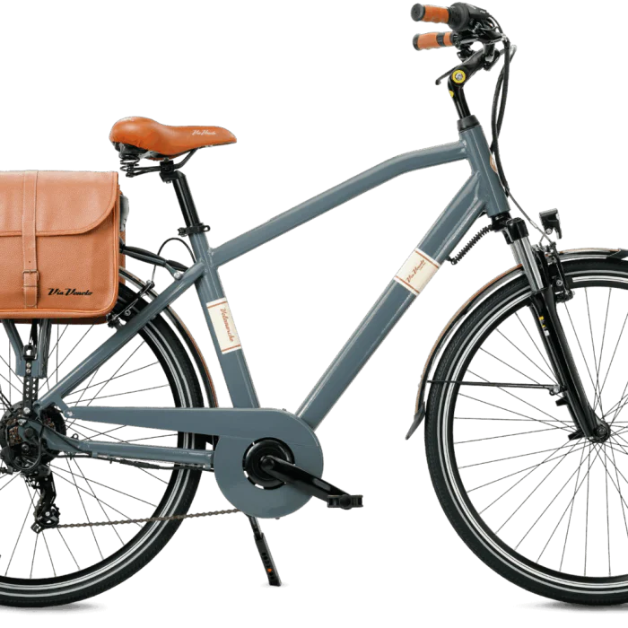 Classic E-Bike Man 28" city bike elettrica uomo vista laterale colore Grigio Gallante